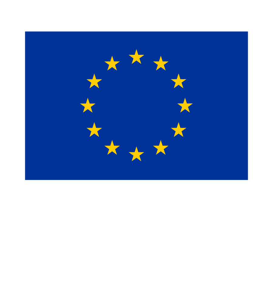 Co-funded by the European Union