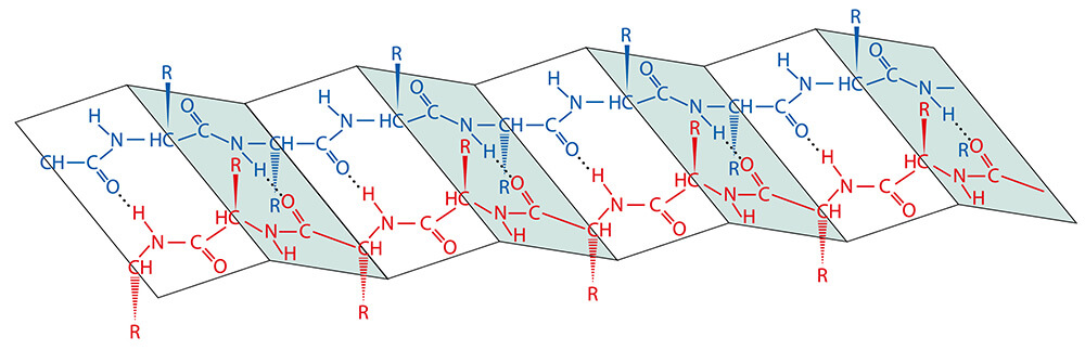 FMB–Methode Energieänderungen von Molekülen