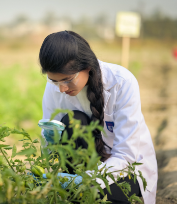Agriculture