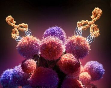 Functional precision oncology Screening